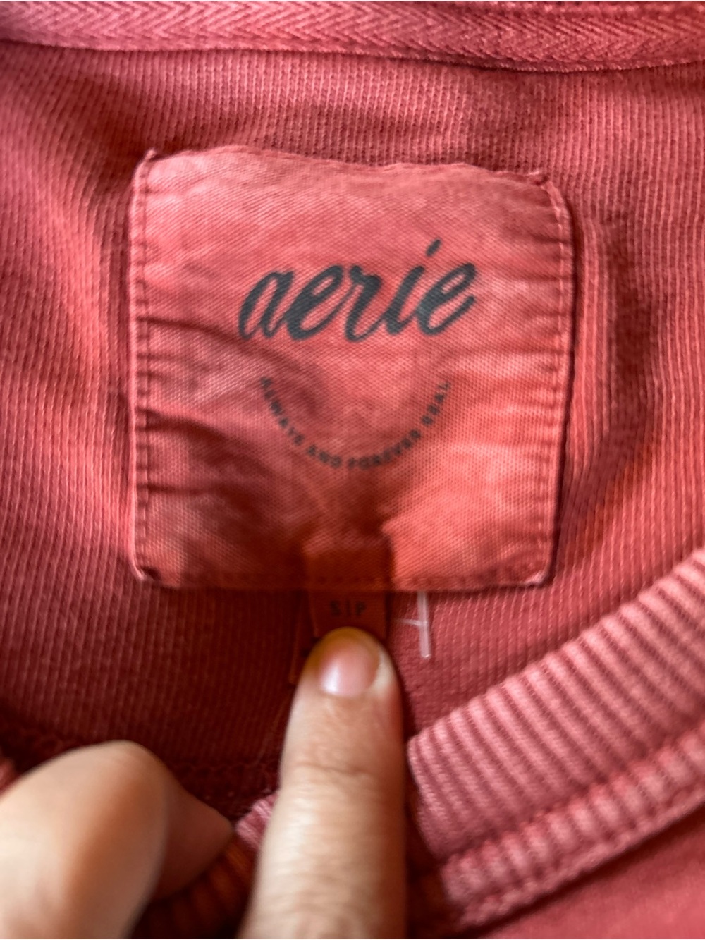 Aerie Coral Crewneck Sweatshirt - Picture 4 of 9